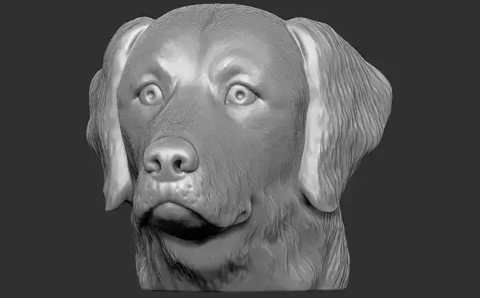 Golden Retriever head for 3D printing 3D print model