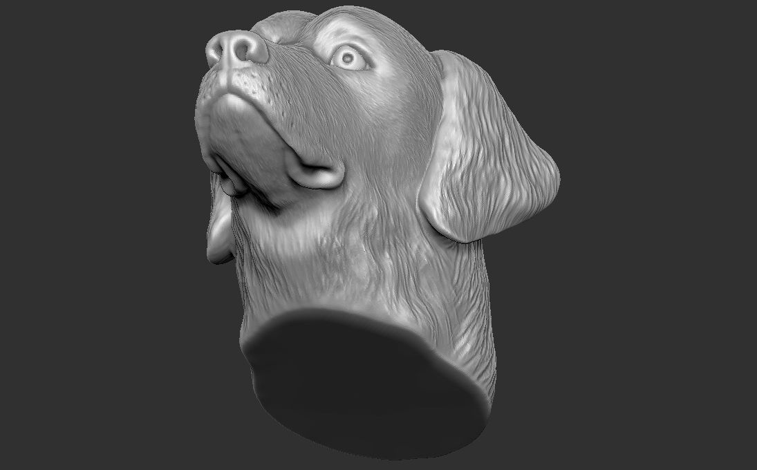 Golden Retriever head for 3D printing 3D print model_19