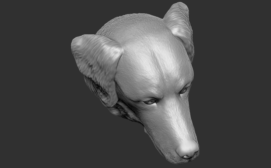 Golden Retriever head for 3D printing 3D print model_21