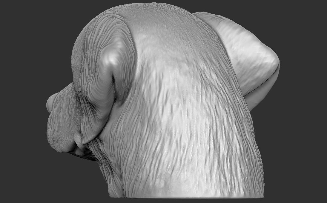 Golden Retriever head for 3D printing 3D print model_9