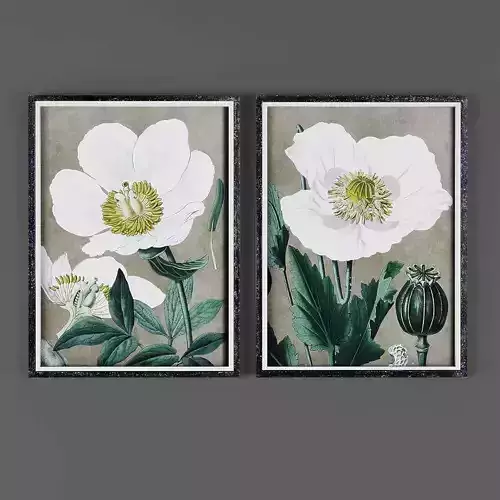 Pictures867 rose canvas wall art