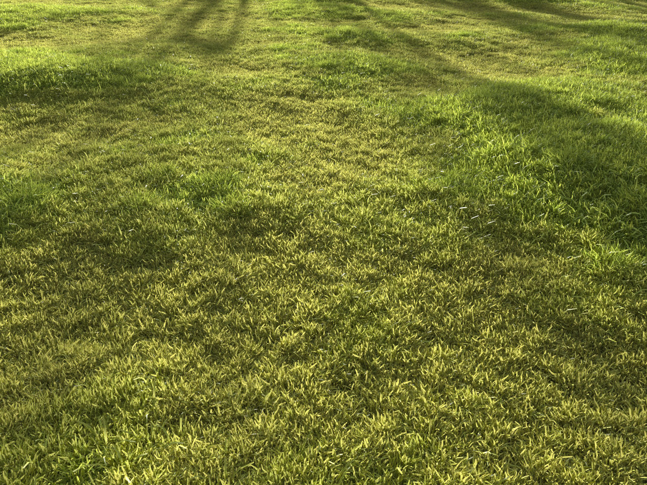 Garden grass 3D model_19