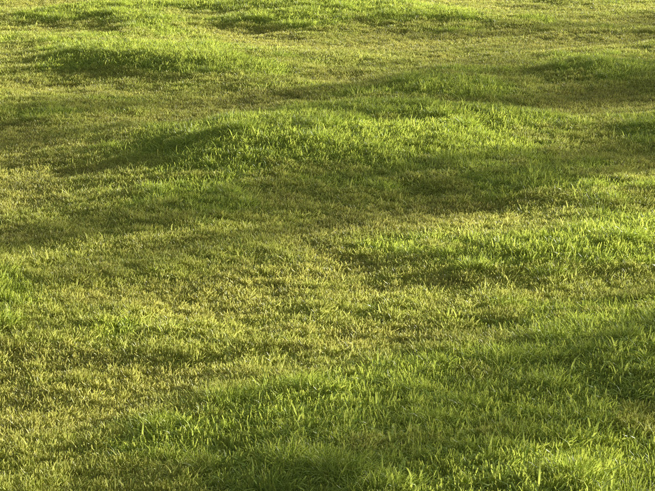 Garden grass 3D model_18