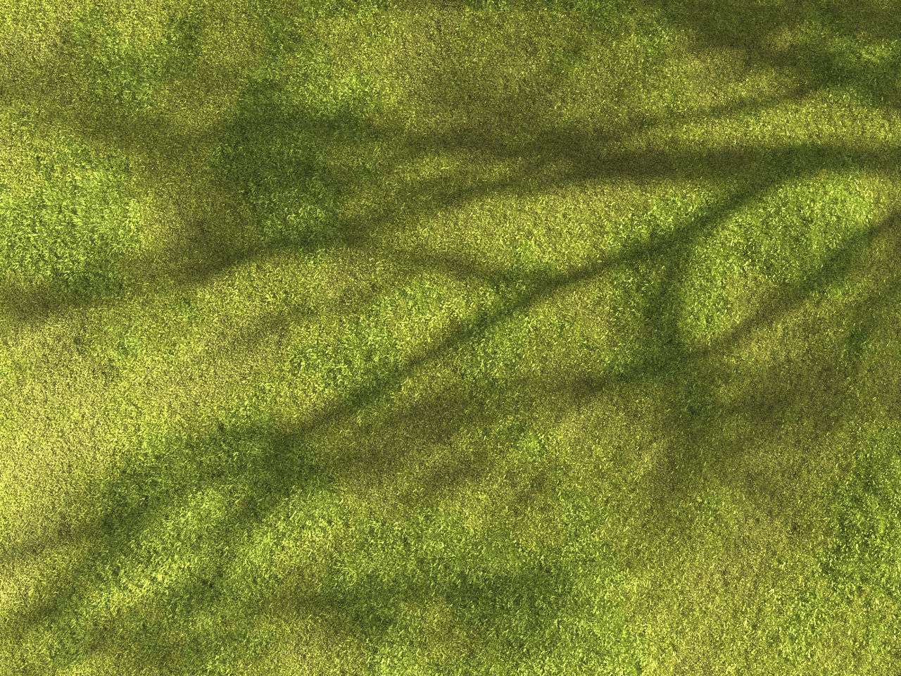 Garden grass 3D model_13
