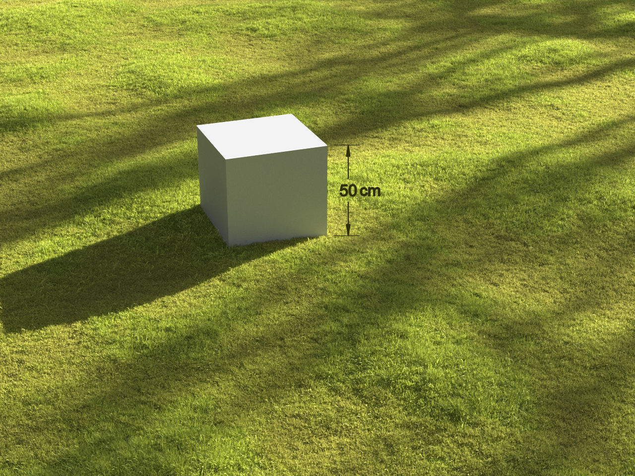 Garden grass 3D model_1