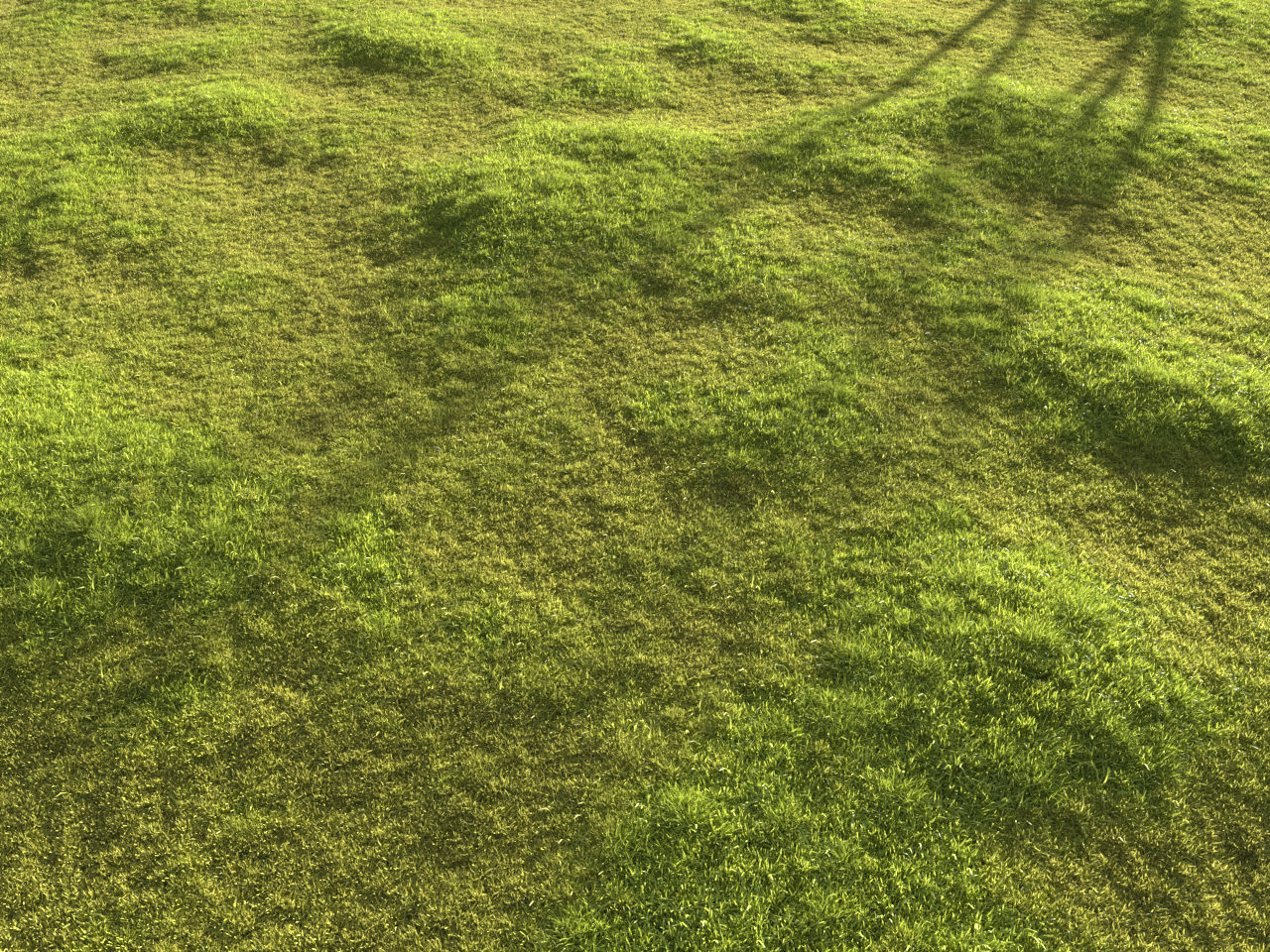 Garden grass 3D model_12