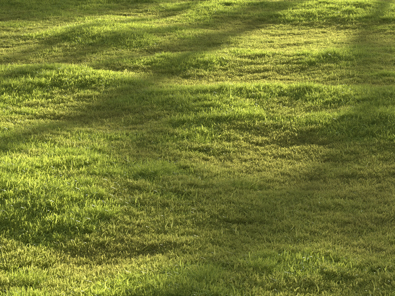 Garden grass 3D model_17