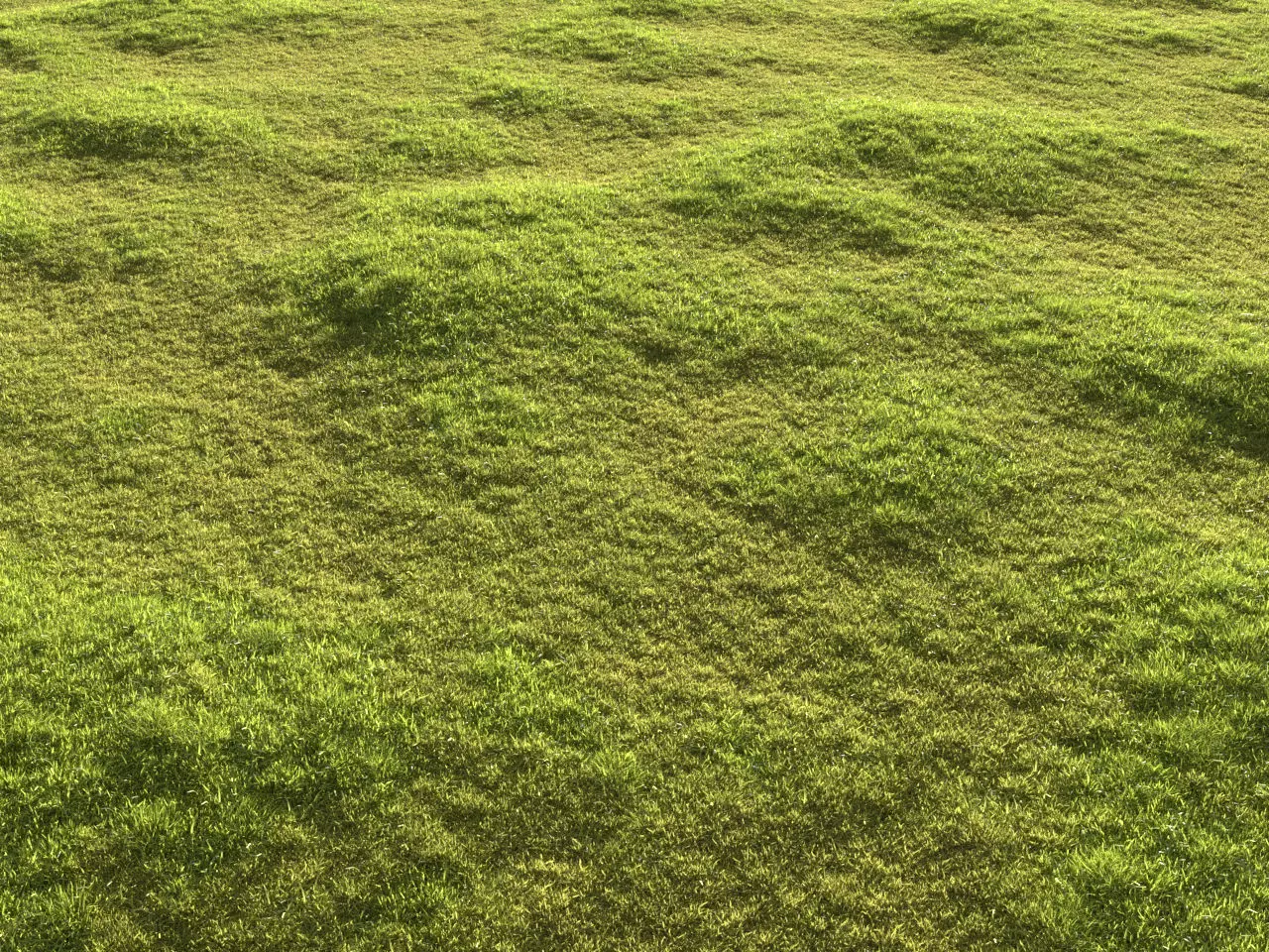 Garden grass 3D model_0