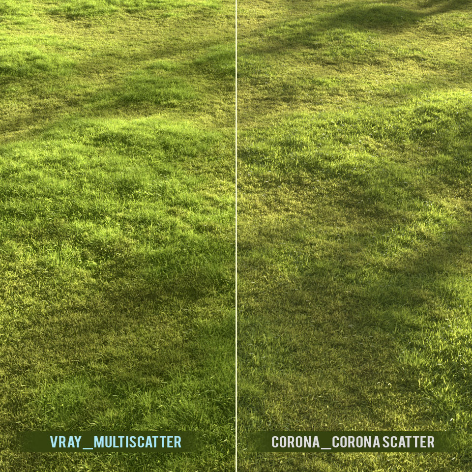 Garden grass 3D model_2