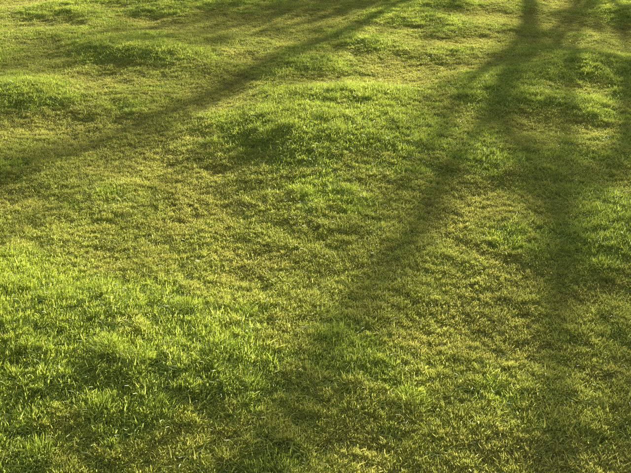 Garden grass 3D model_8