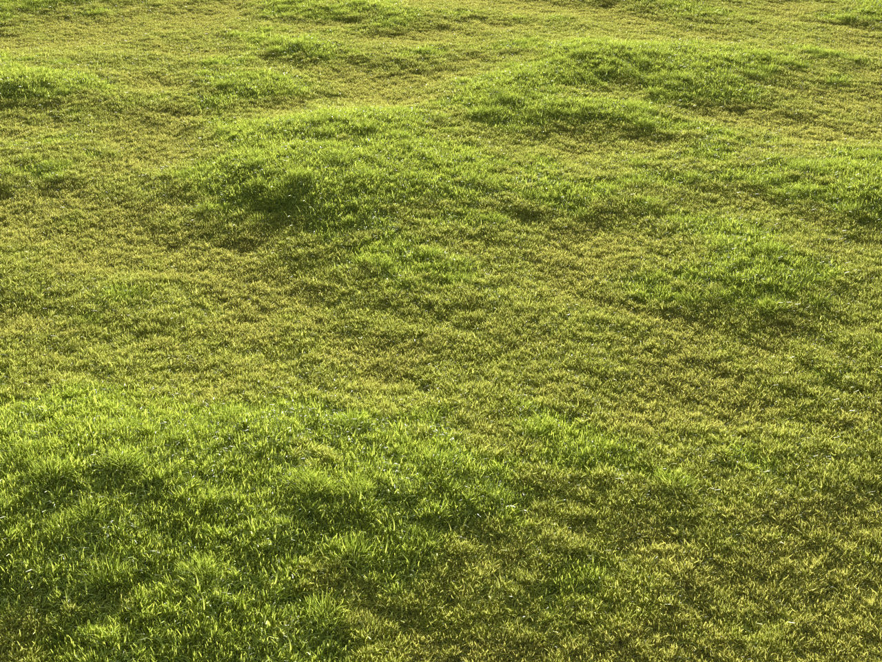 Garden grass 3D model_3