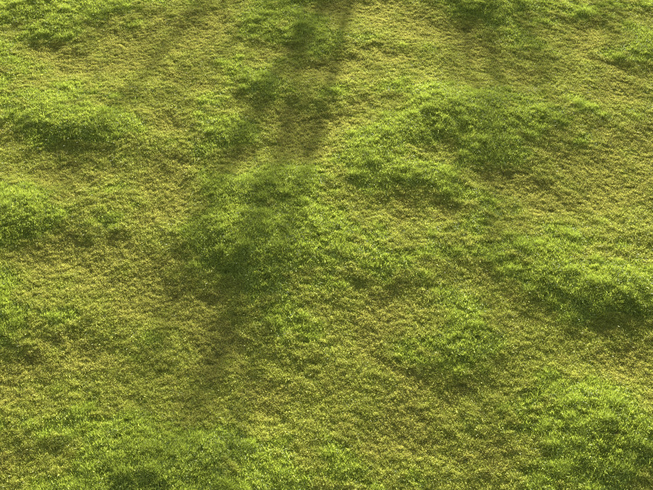 Garden grass 3D model_15