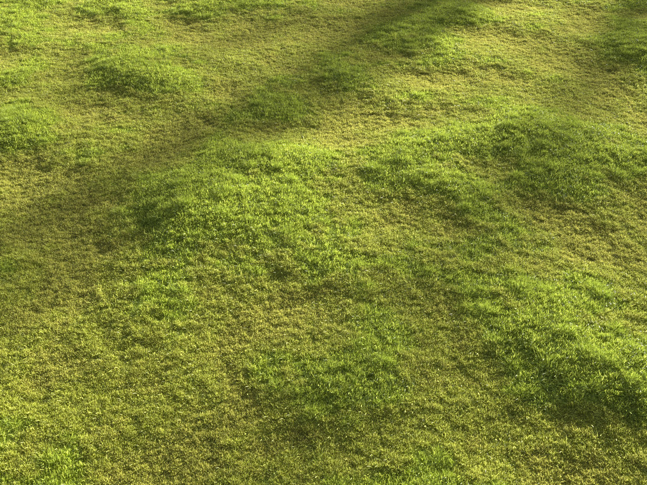 Garden grass 3D model_6
