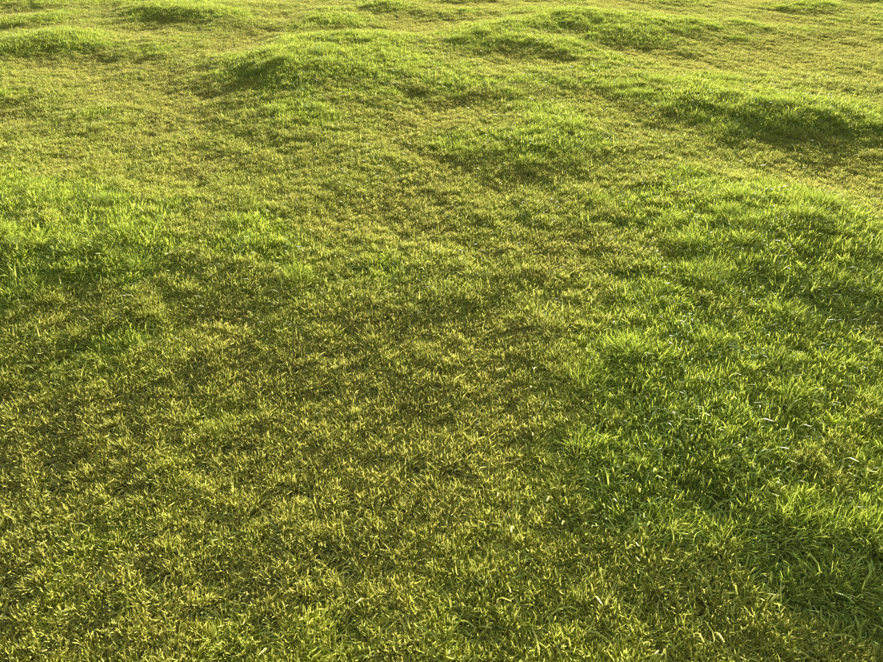 Garden grass 3D model_16