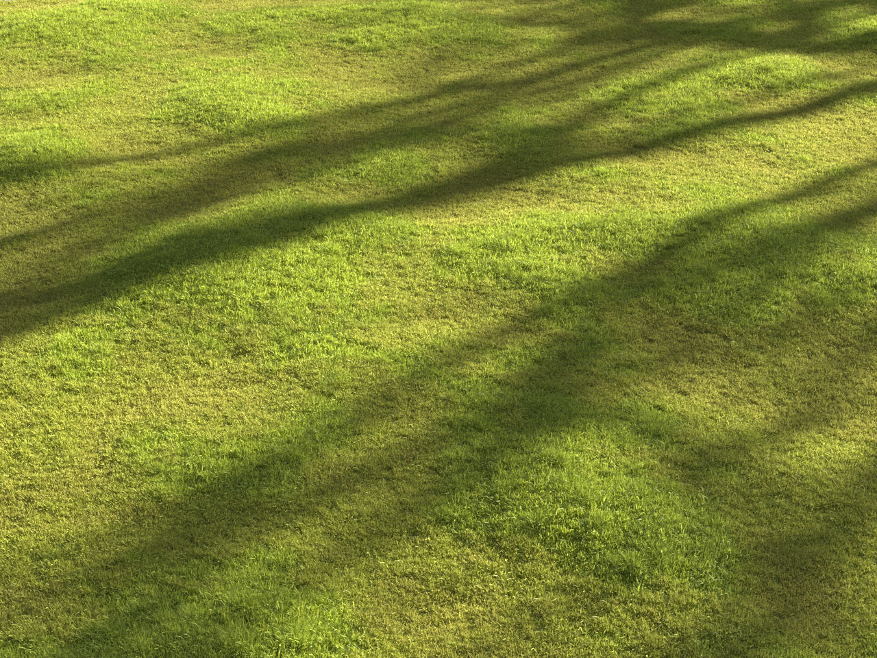 Garden grass 3D model_10