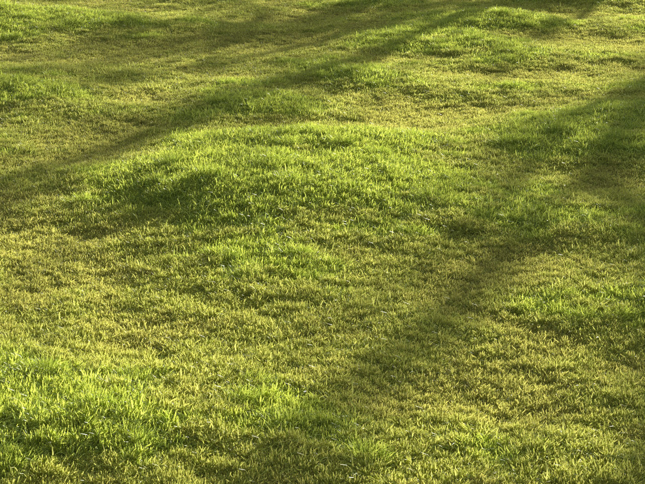 Garden grass 3D model_20