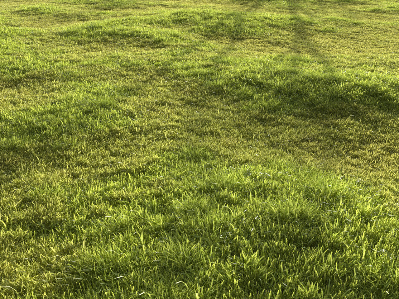 Garden grass 3D model_5
