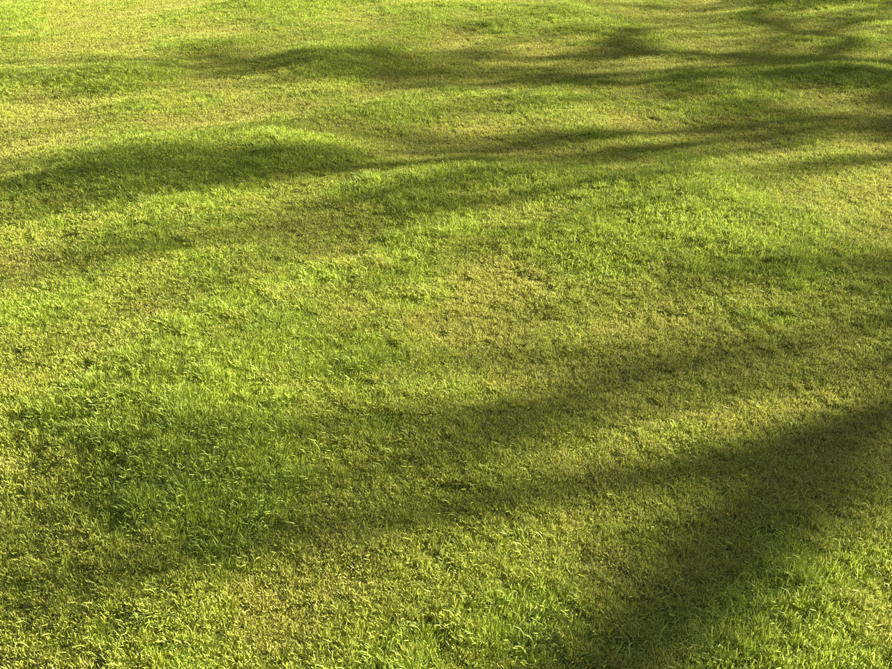 Garden grass 3D model_9