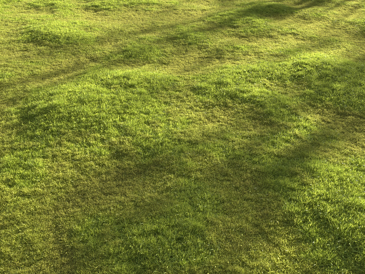 Garden grass 3D model_4