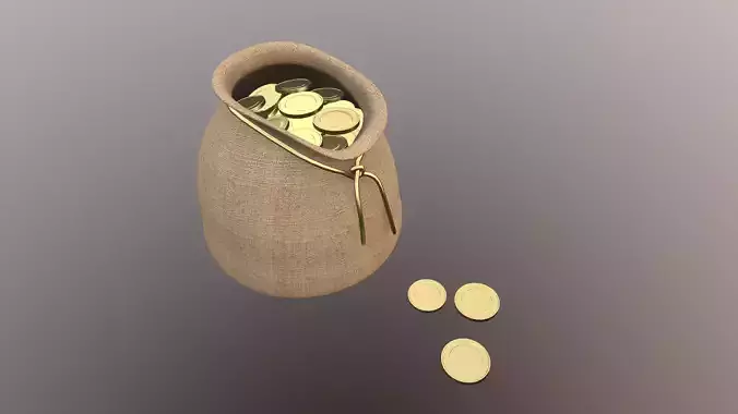 Money bag