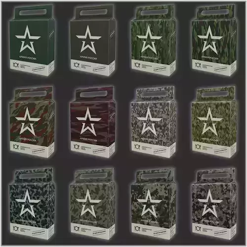 Russian Individual Ration Pack MRE Low-poly 3D model