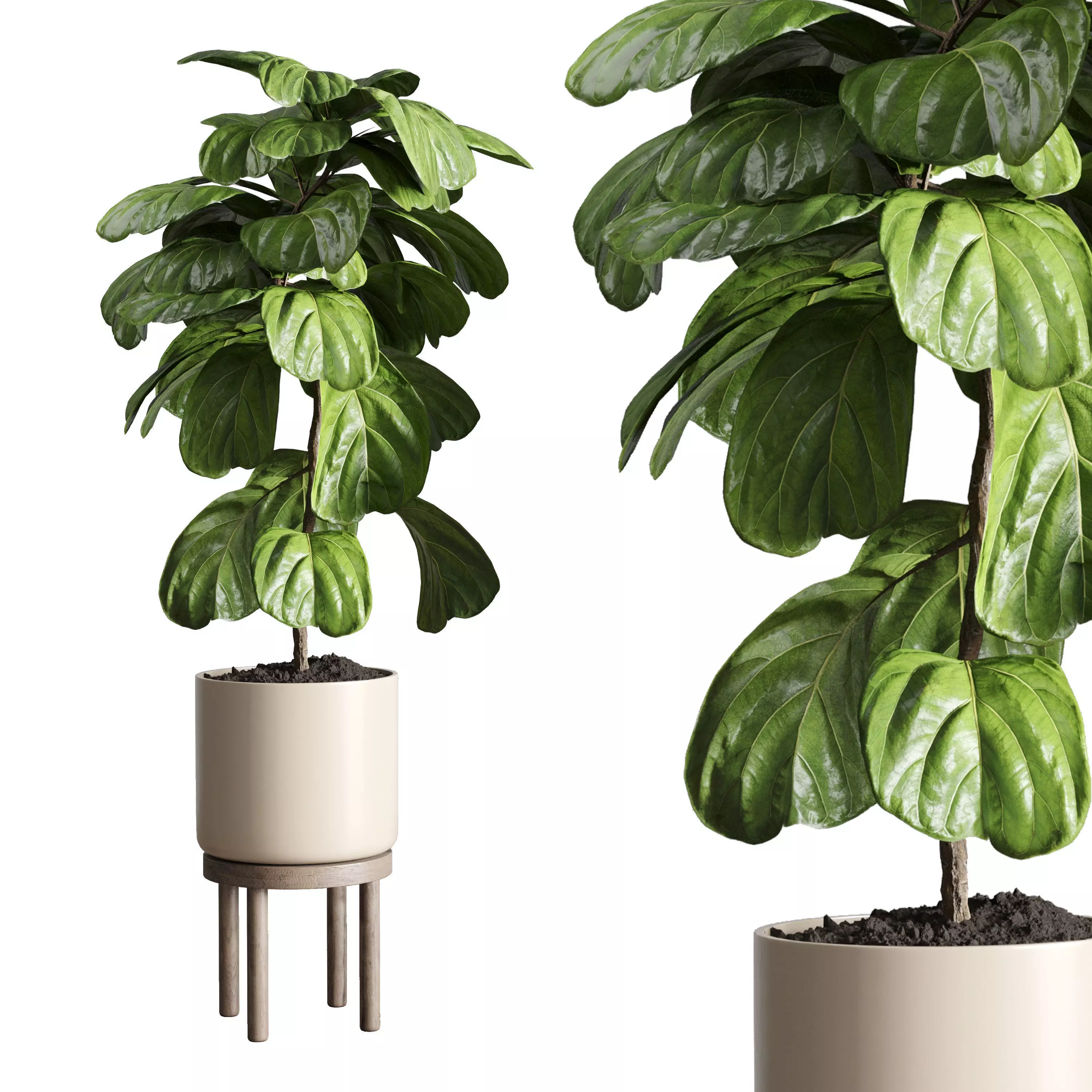 Indoor plant 49 vase wood 3D model