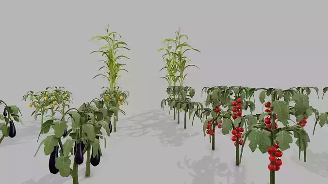 Vegetable Plant PBR Collection