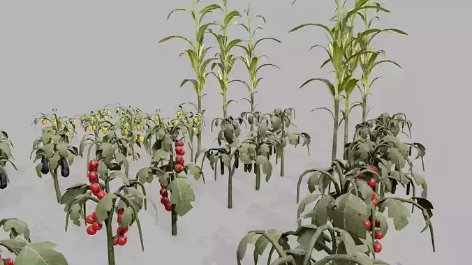 Dirt Vegetable Plant PBR Collection 