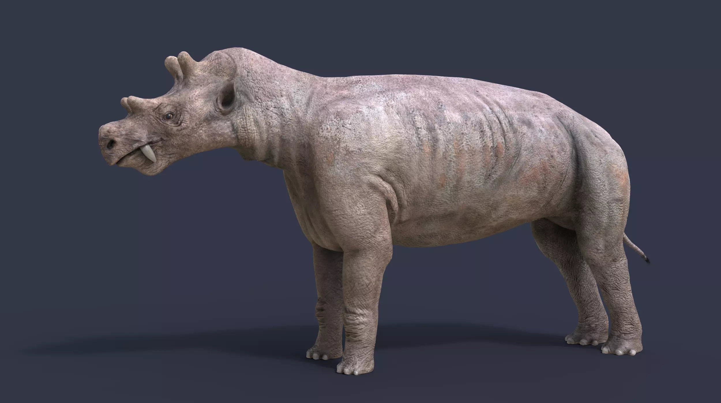 Extinct animals pack version 16 Low-poly 3D model