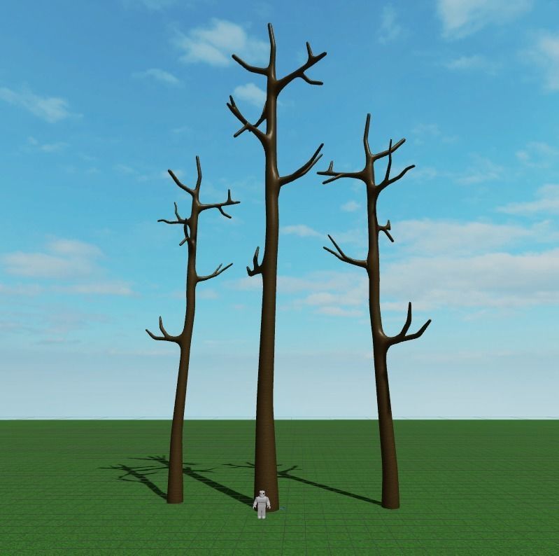 Long Tree Trunk 3D model_4