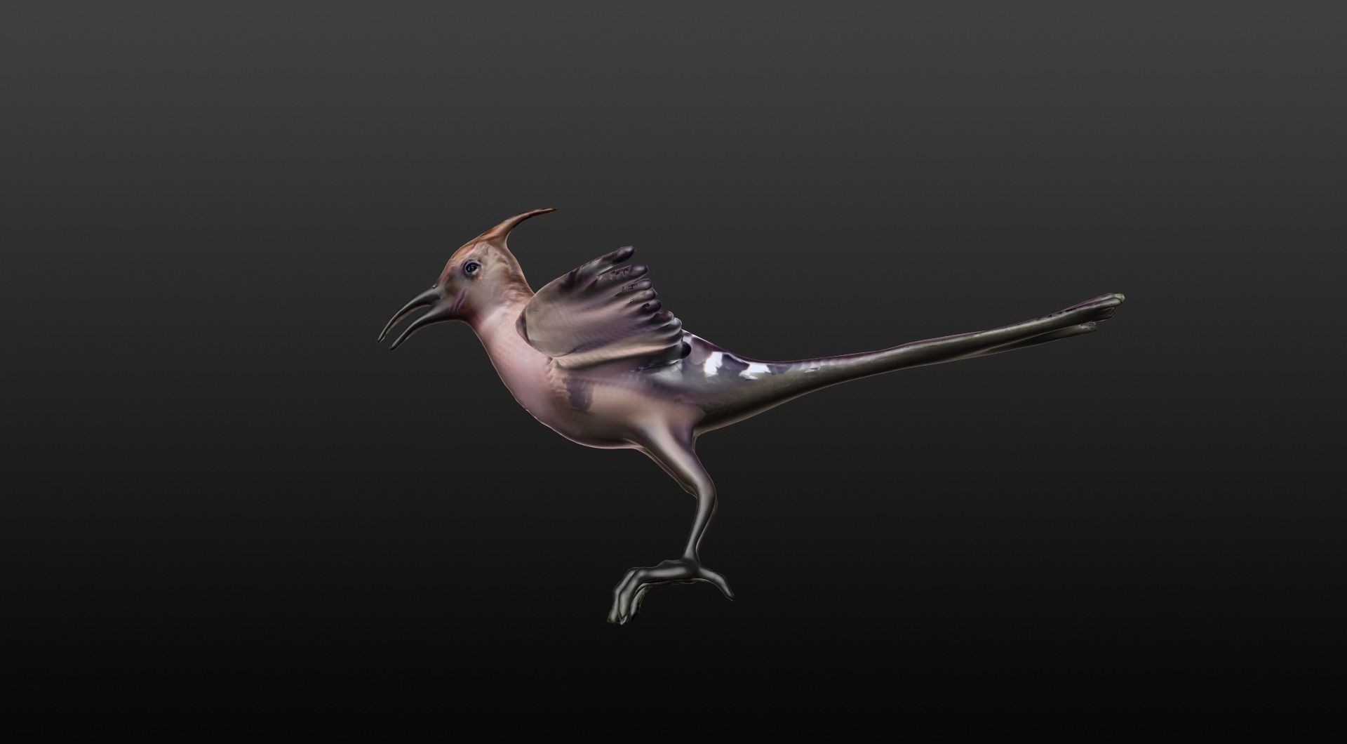 hoopie bird 3D model_4