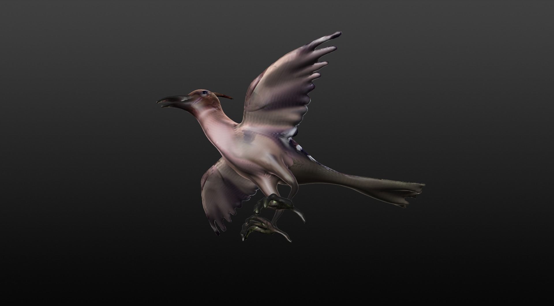 hoopie bird 3D model_1