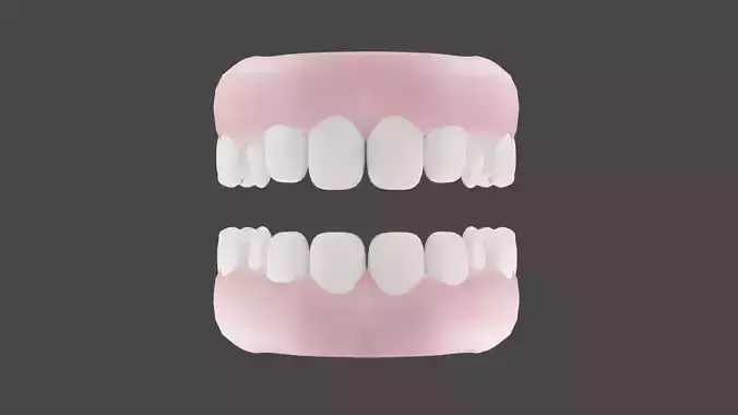 Teeth set of