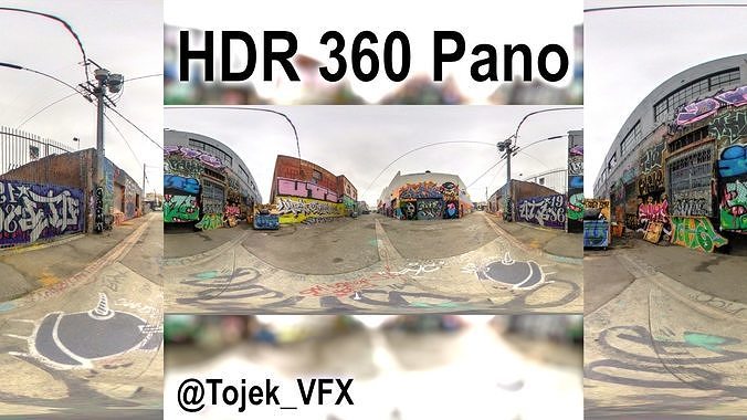 HDR 360 Panorama DTLA Graffiti Alley Cloudy 025 3D model