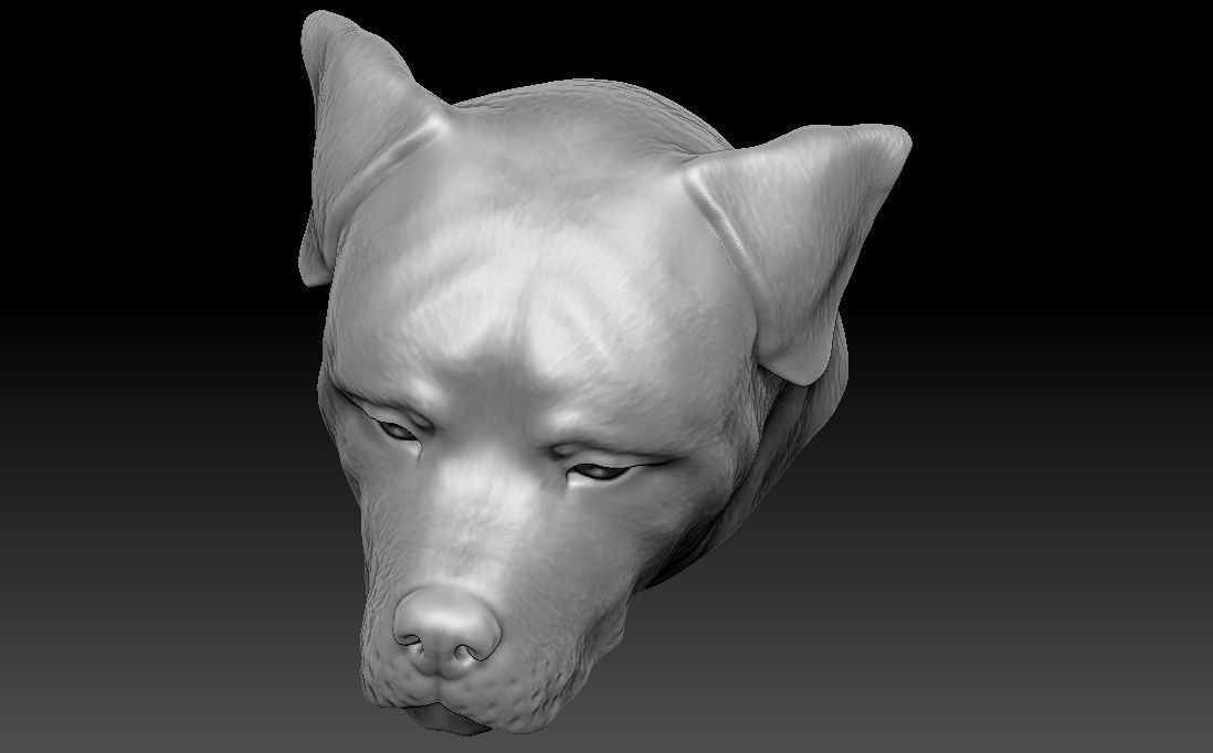 Rottweiler head for 3D printing 3D print model_16