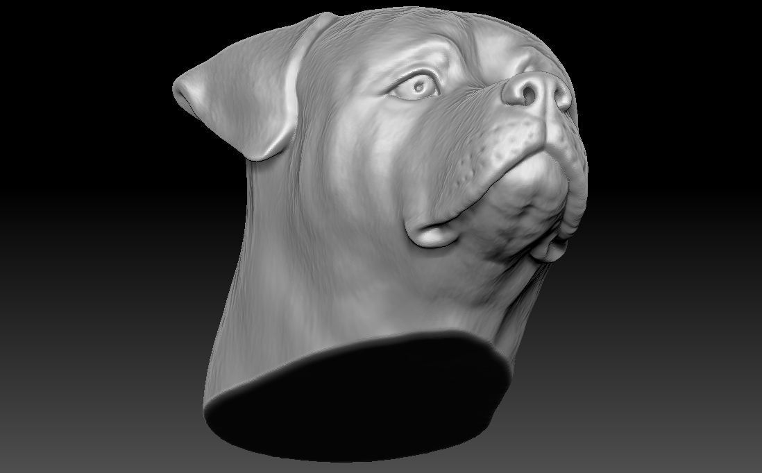 Rottweiler head for 3D printing 3D print model_18