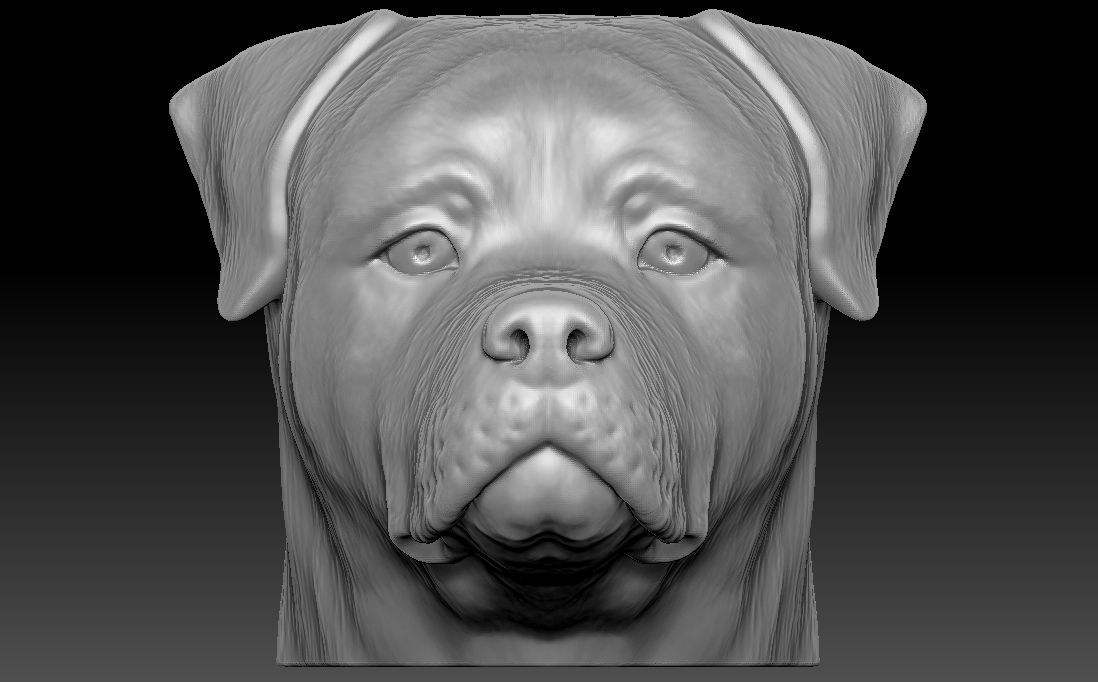 Rottweiler head for 3D printing 3D print model_1
