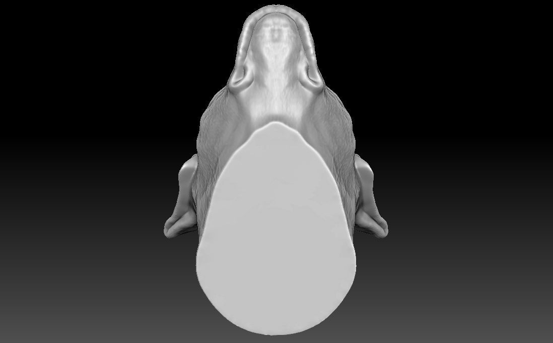 Rottweiler head for 3D printing 3D print model_20