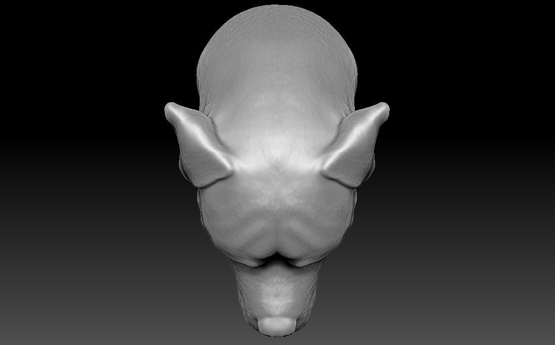 Rottweiler head for 3D printing 3D print model_17