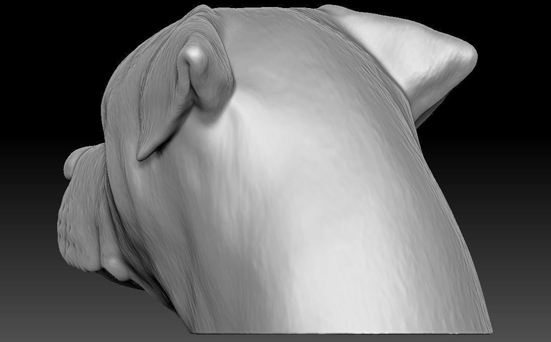 Rottweiler head for 3D printing 3D print model_8