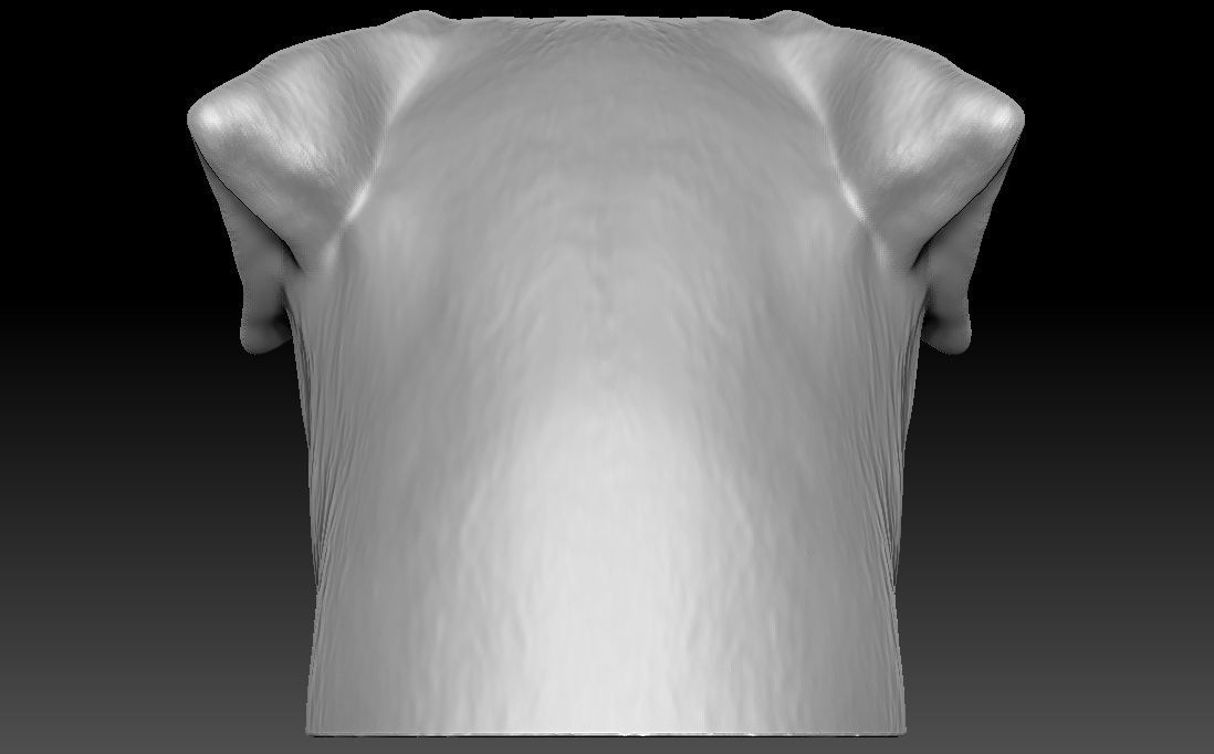 Rottweiler head for 3D printing 3D print model_7