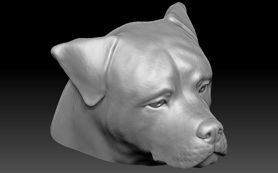 Rottweiler head for 3D printing 3D print model_15