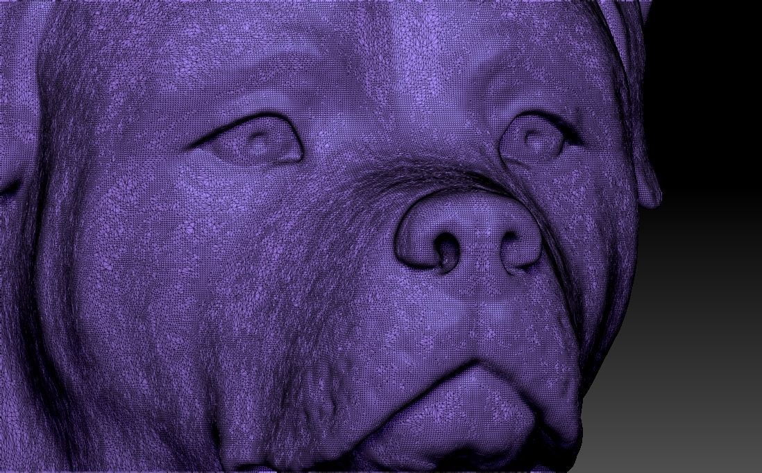 Rottweiler head for 3D printing 3D print model_21