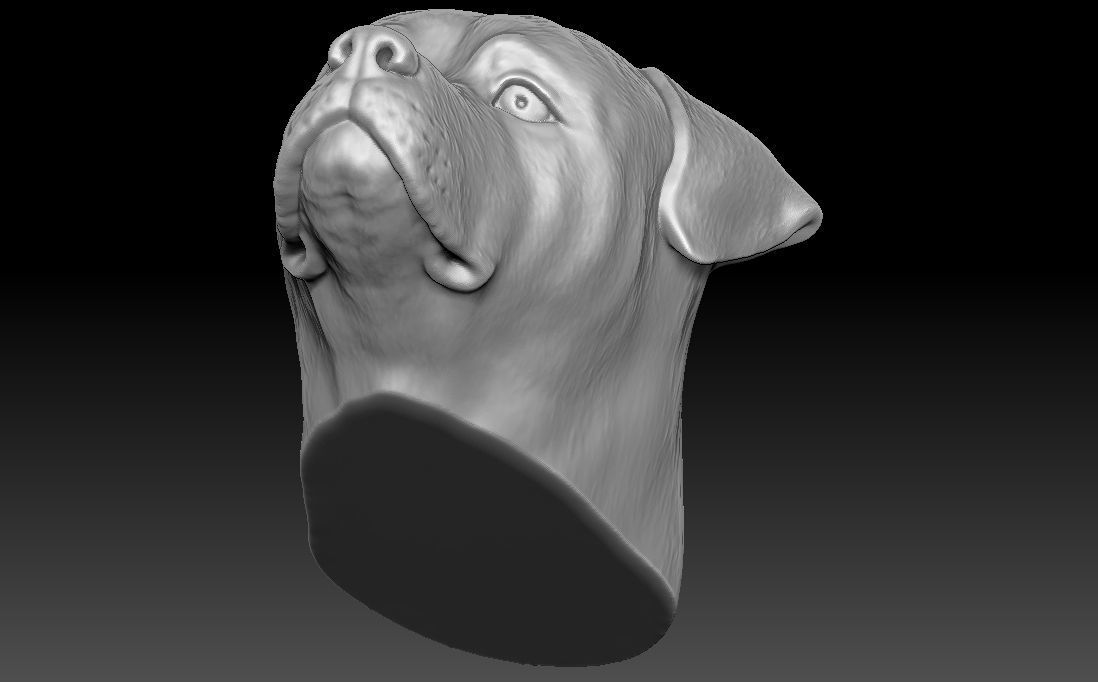 Rottweiler head for 3D printing 3D print model_19