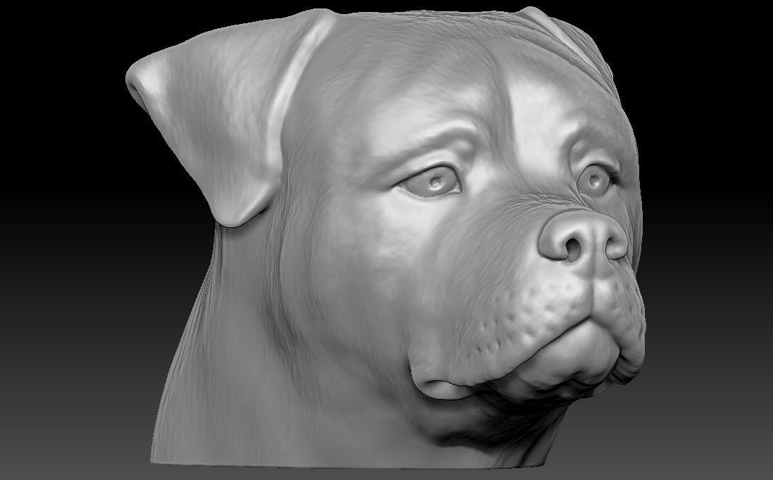 Rottweiler head for 3D printing 3D print model_2