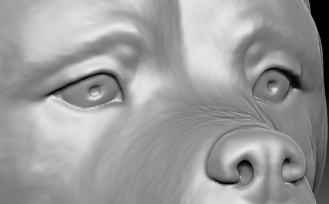 Rottweiler head for 3D printing 3D print model_13