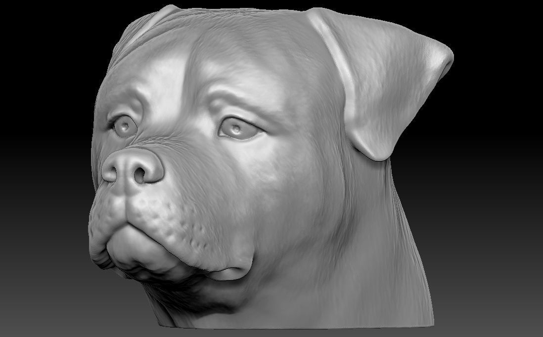 Rottweiler head for 3D printing 3D print model_11