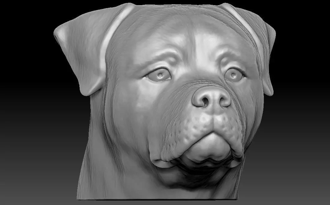 Rottweiler head for 3D printing 3D print model_0