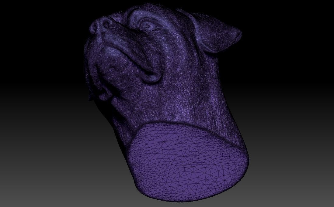 Rottweiler head for 3D printing 3D print model_23