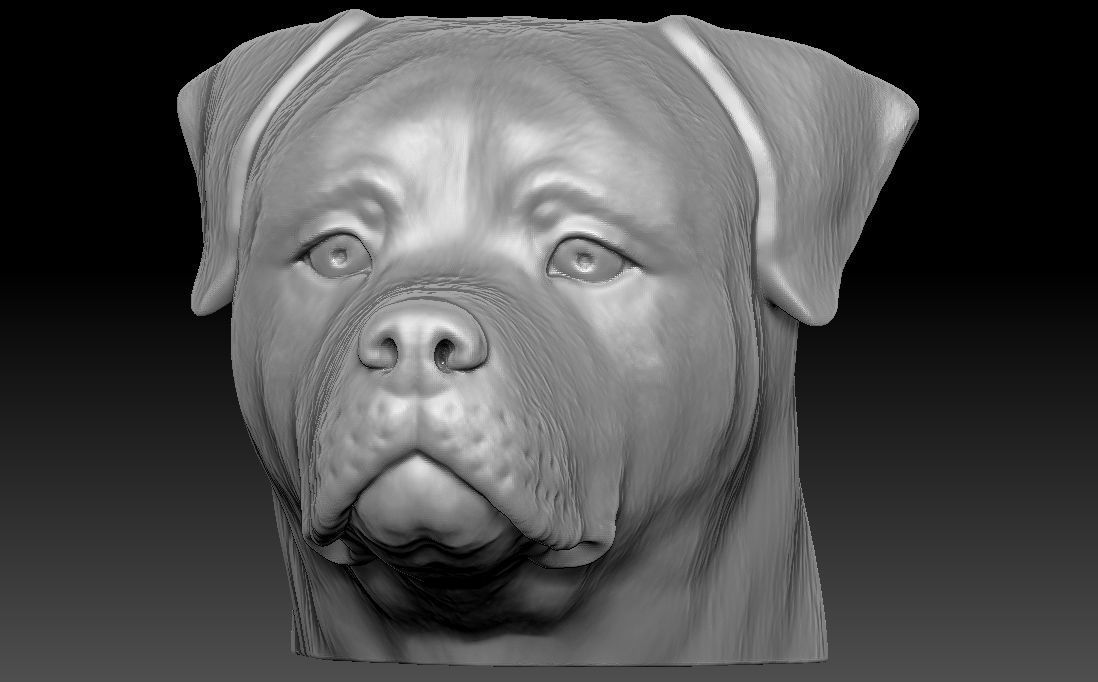 Rottweiler head for 3D printing 3D print model_12